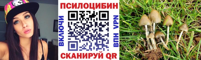 Галлюциногенные грибы Psilocybe  Моздок 