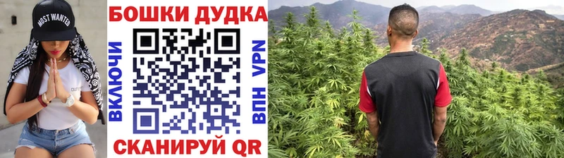shop телеграм  Моздок  Каннабис планчик  где найти  